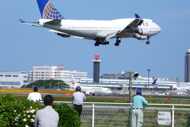 成田空港・さくらの山